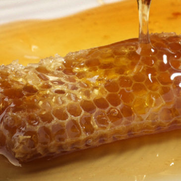 Eat 1 Spoon Of Raw Honey Every Morning, THIS Will Happen To Your Body!