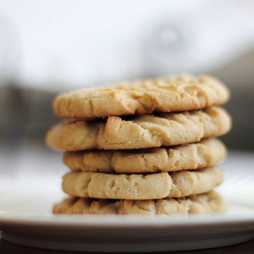 Recipe #6- Honey Gingerbread Cookies